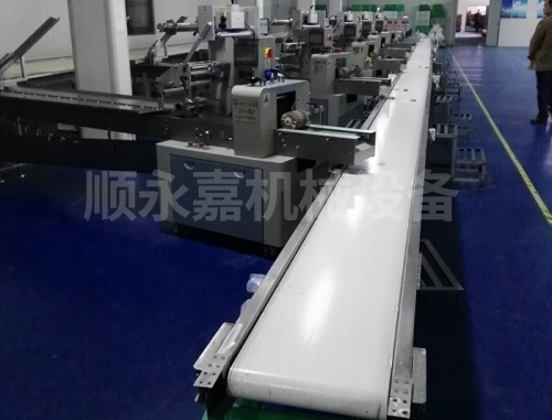 生产线输送机（按客户要求定制）